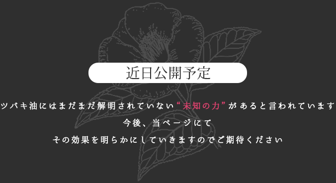 ツバキ油にはまだまだ解明されていない“未知の力”があると言われています。今後、当ページにて
その効果を明らかにしていきますのでご期待ください