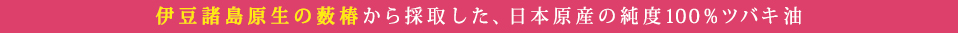 日本の椿油 利三(としみ)